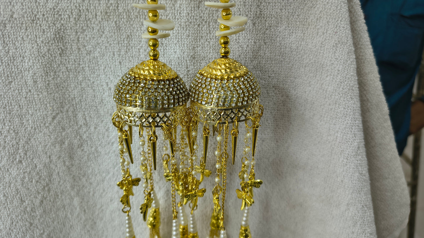Tejasvi