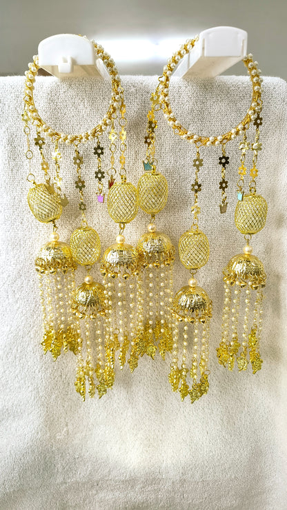 Ishaani