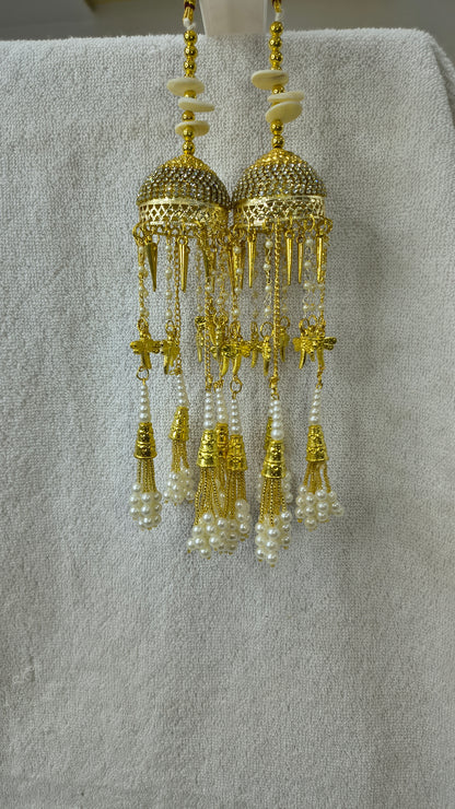 Tejasvi